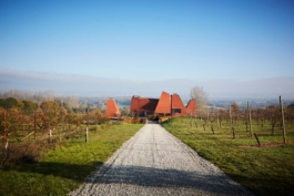 Macdonald Wright Architects