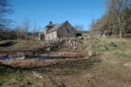 Macdonald Wright Architects